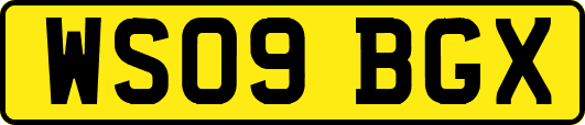 WS09BGX