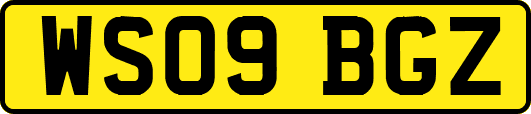 WS09BGZ