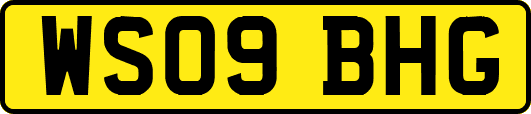 WS09BHG
