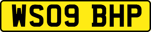 WS09BHP