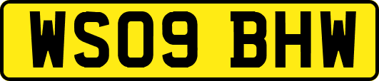 WS09BHW