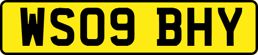 WS09BHY