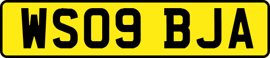 WS09BJA