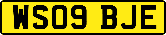 WS09BJE