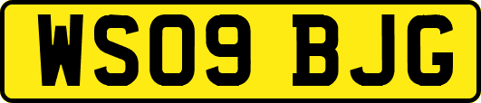 WS09BJG