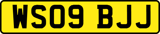 WS09BJJ