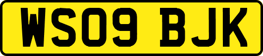 WS09BJK