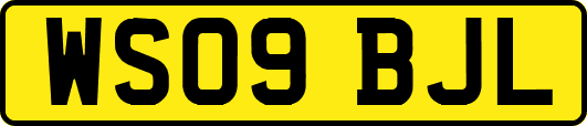 WS09BJL