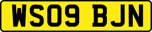 WS09BJN