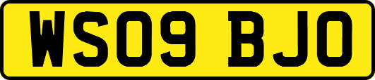 WS09BJO