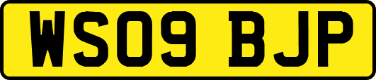 WS09BJP