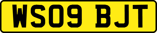 WS09BJT
