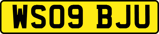 WS09BJU