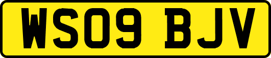 WS09BJV