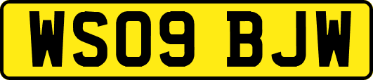 WS09BJW