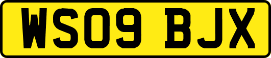 WS09BJX