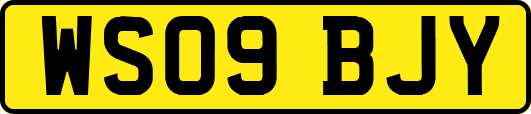 WS09BJY