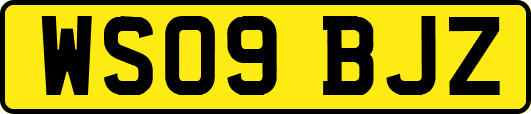 WS09BJZ