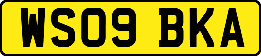 WS09BKA