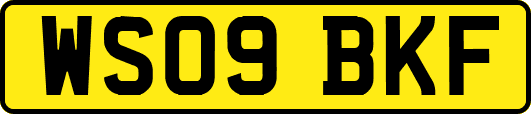 WS09BKF