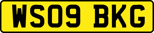 WS09BKG