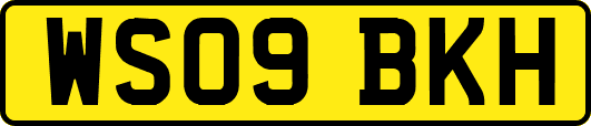 WS09BKH