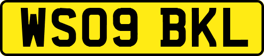 WS09BKL