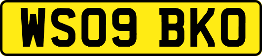 WS09BKO