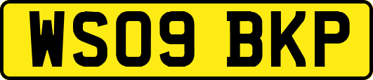 WS09BKP