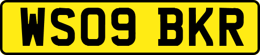 WS09BKR