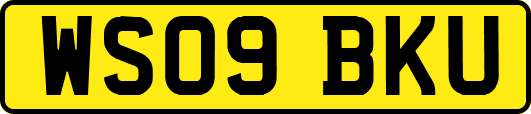 WS09BKU