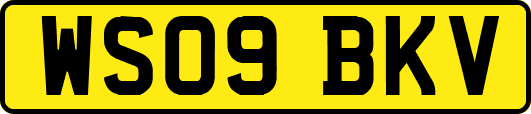 WS09BKV