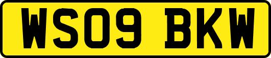 WS09BKW