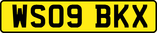 WS09BKX