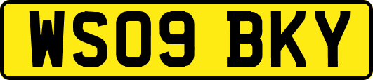 WS09BKY