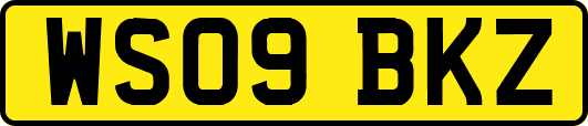 WS09BKZ