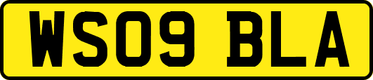WS09BLA