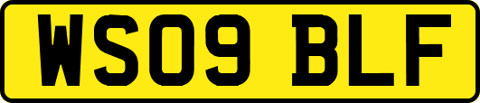 WS09BLF