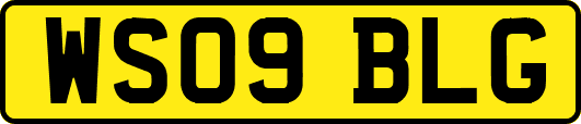 WS09BLG