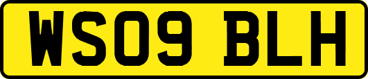 WS09BLH