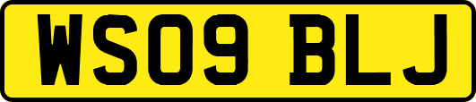 WS09BLJ
