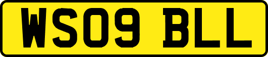WS09BLL