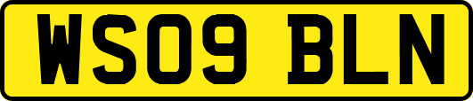 WS09BLN