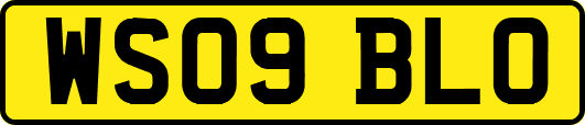 WS09BLO