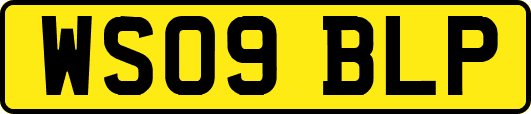WS09BLP