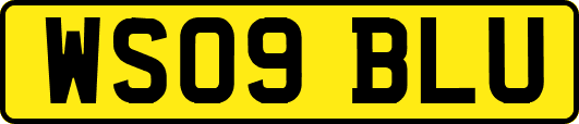WS09BLU