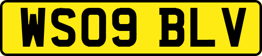 WS09BLV