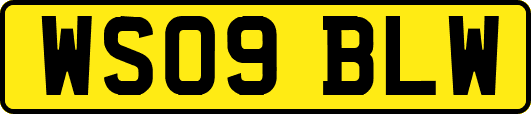 WS09BLW