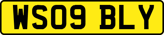 WS09BLY
