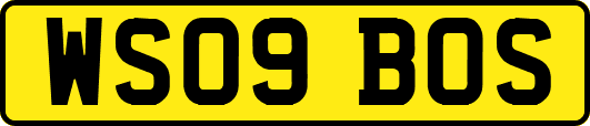 WS09BOS
